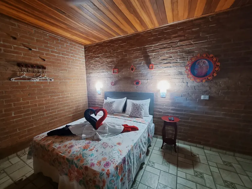 Toatoa Hostel - Owl - Image 1