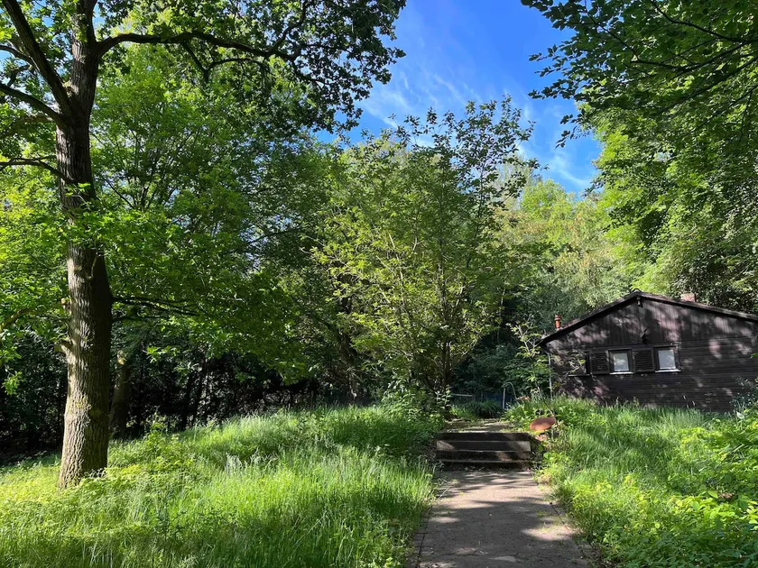 Quiet garden house on the edge of the forest with sheep - Image 1