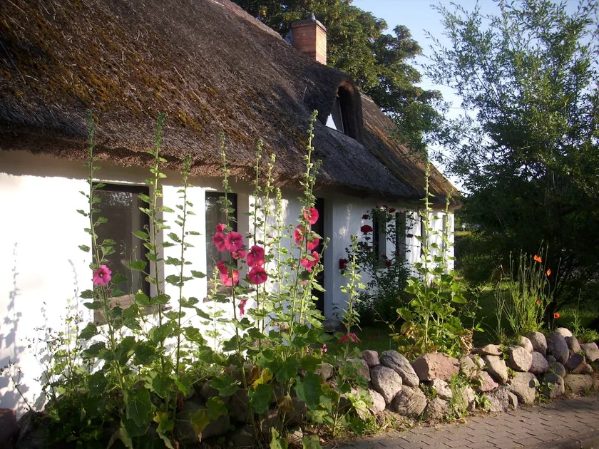 Vacation apartment in the old thatched house on Usedom - Image 1