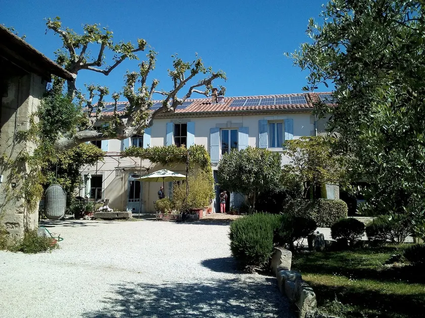 The Jujube Tree - Image 1