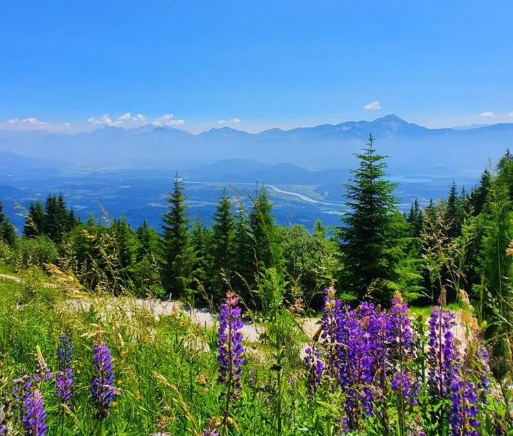 Gerlitzen mountain and lake vacation - Image 1