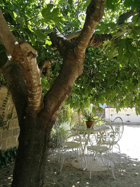 Casa La Higuera - Image 1