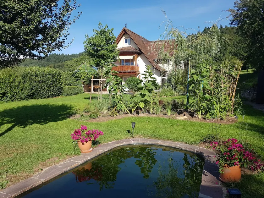 Paradies 1 - Image 1