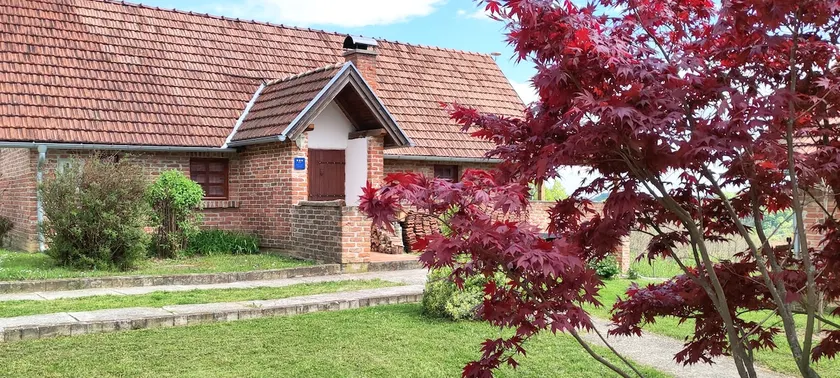 House on a hill - Image 1