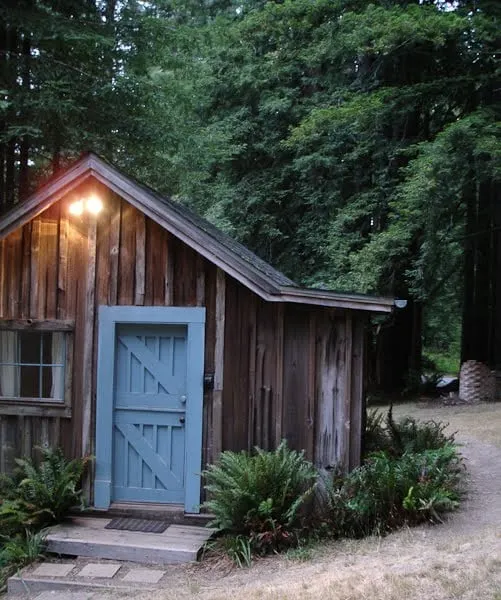 Cabin in redwood giants! Hot tub! - Image 1