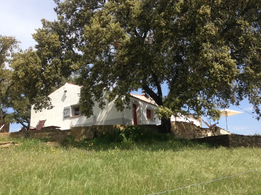 The Real Portugal - Bread House - Image 1