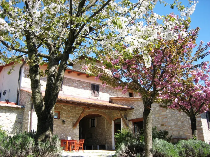 Farmhouse near Florence - Limonaia - Image 1