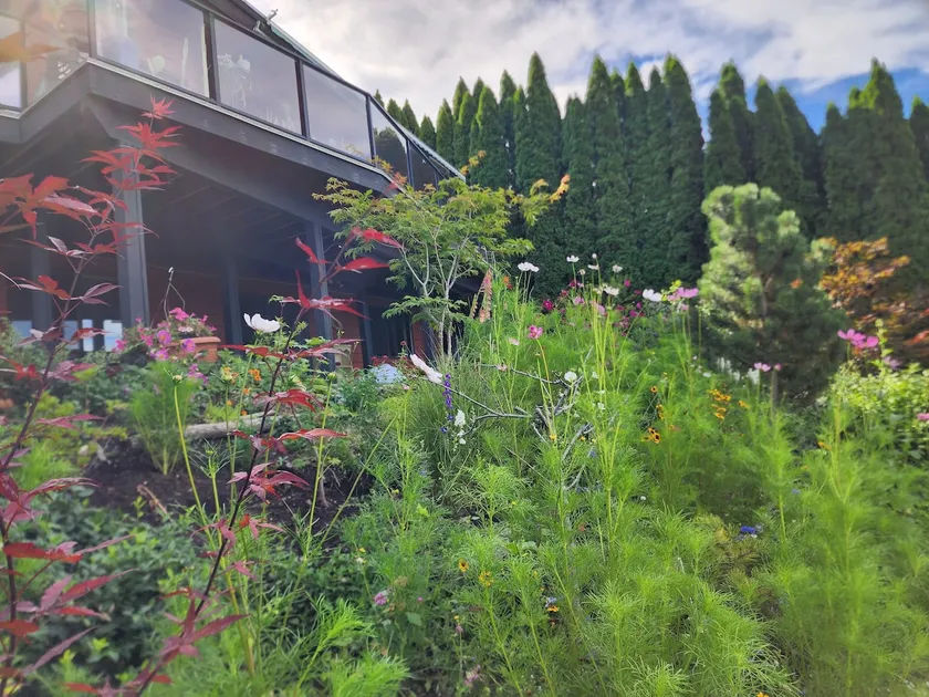 Amongst the cherry trees and modern nature. - Image 1