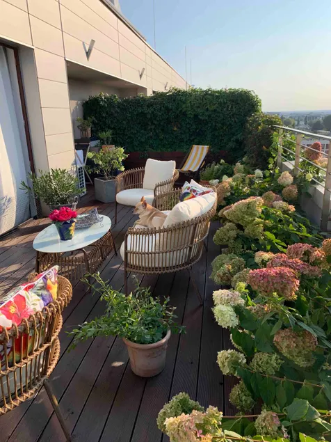 Blue Sky View Suite - Image 1