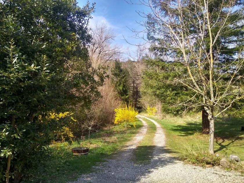 ”Au Petit Séquoia”, a gîte in the heart of nature - Image 1