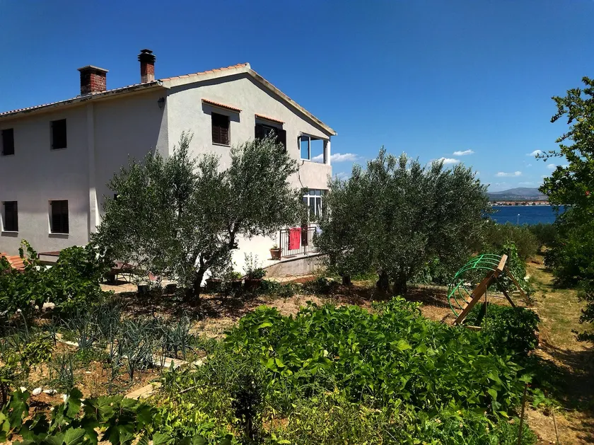 Apartment Prvic Sepurine II - Image 1