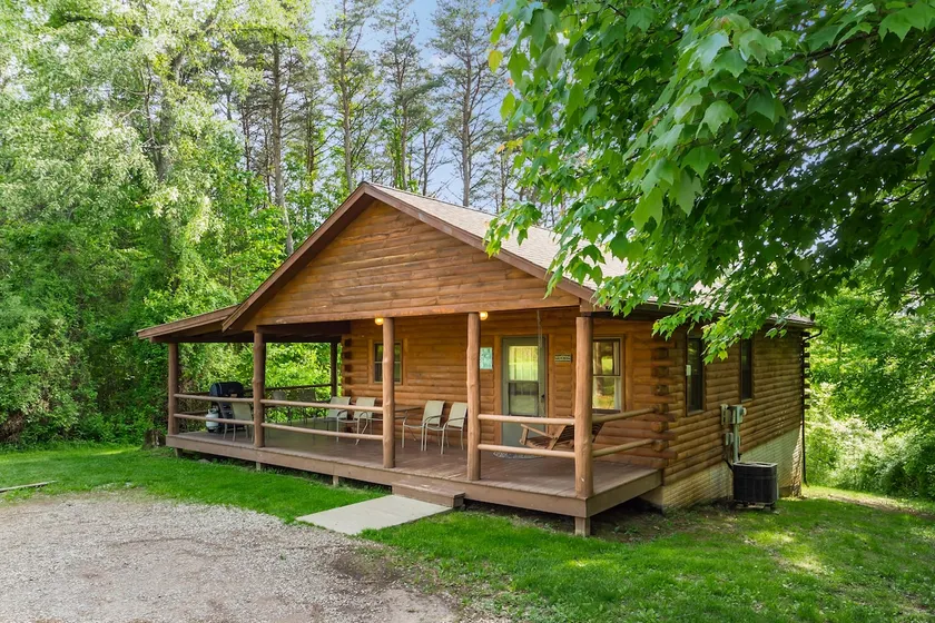 Merveilleuse cabane conviviale et familiale avec jacuzzi, jardin et barbecue | Vue lac | Avec animaux bienvenus - Image 1