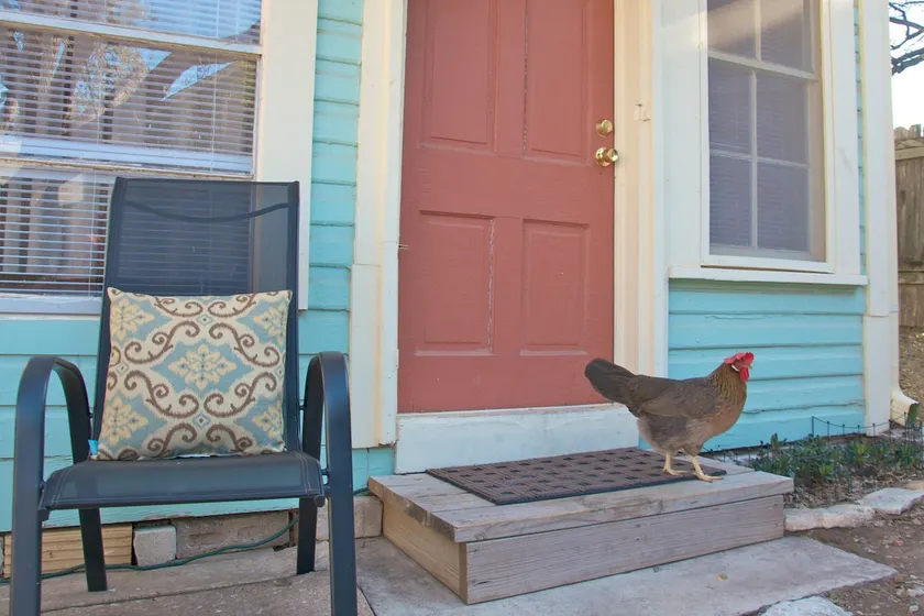 South Congress Apartment - Image 1