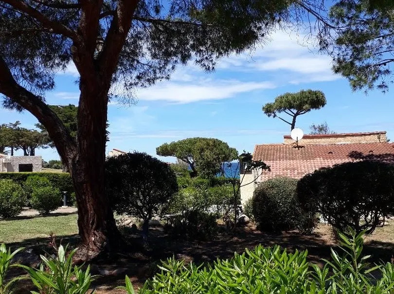 3* house 100m from the marine sea of St Ambroggio - Image 1
