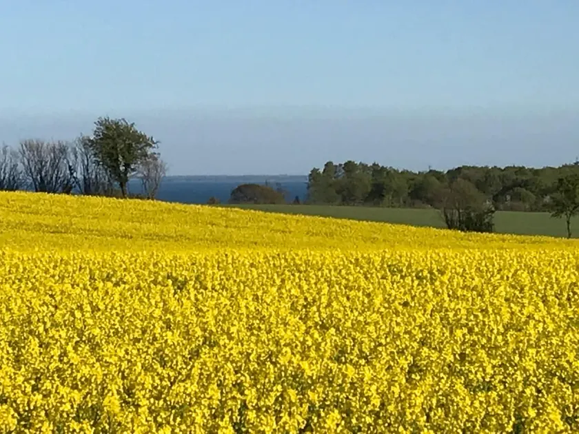 Rural idyll. - Image 1