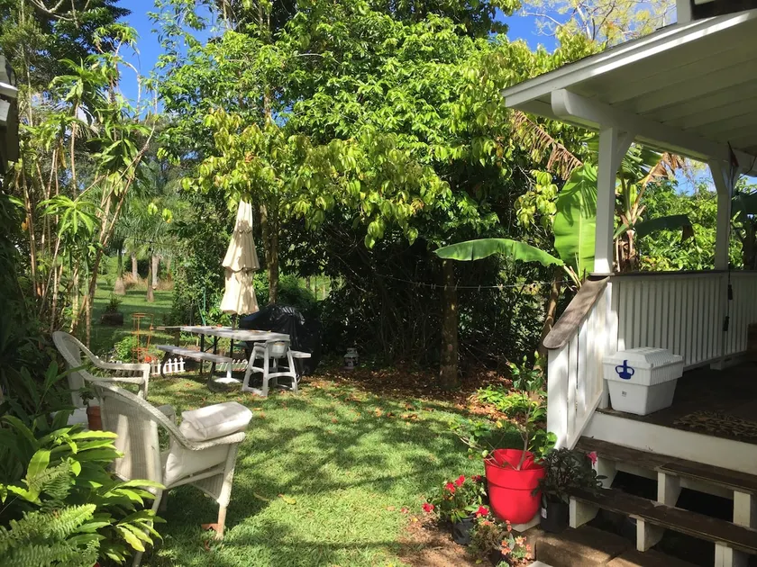 sweet country cottage on 2 acres; palm trees birds - Image 1
