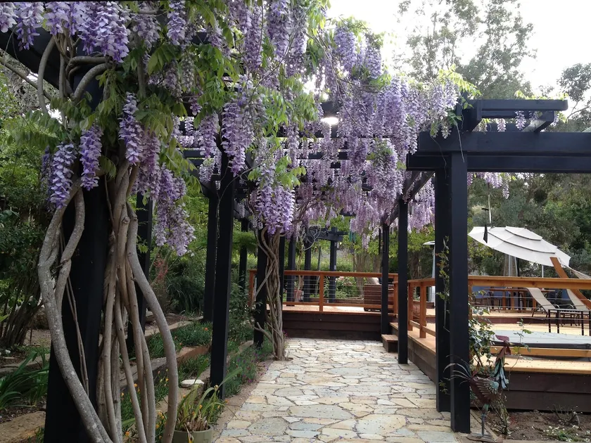 Maison d'hôtes à Sunny Carmel Valley. - Image 1