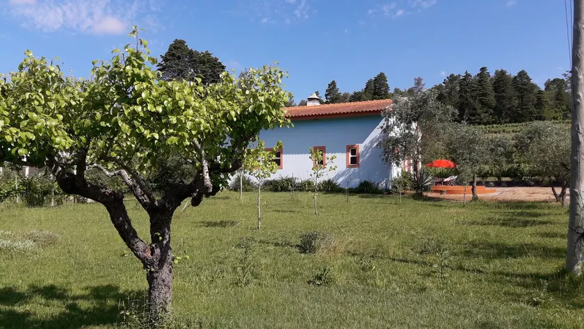 Casa Merlot, rustic winery with pool - Image 1