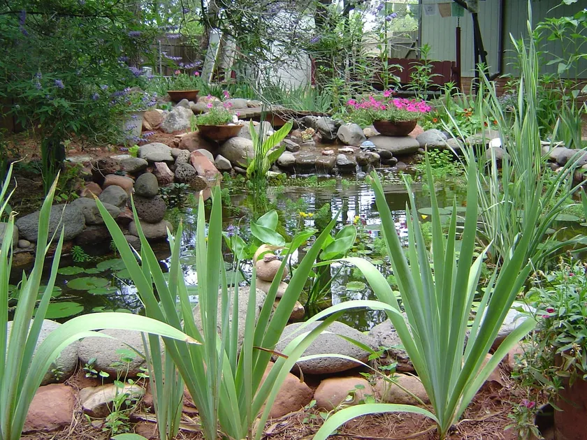 Zen Retreat - walk to creek, hikes - Image 1