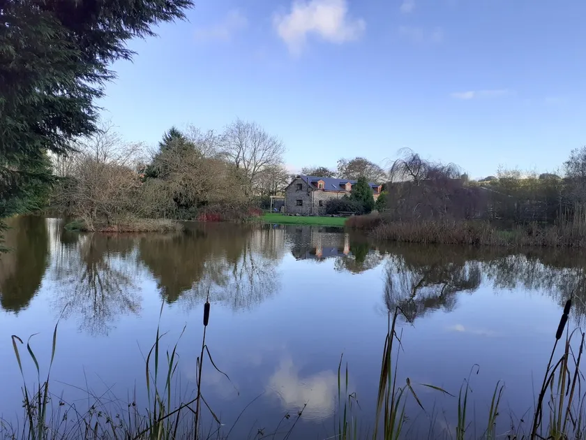 Mwsogl - Luxurious Family Fishing Lodge Near Aberaeron With Private Fishing - Image 1