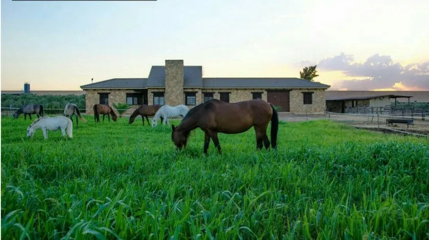 Casa Equestre Carmen Martínez Ideal for groups - Image 1