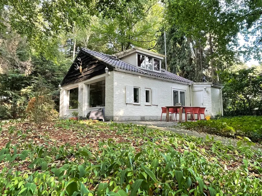 Quirky Forest House - Image 1