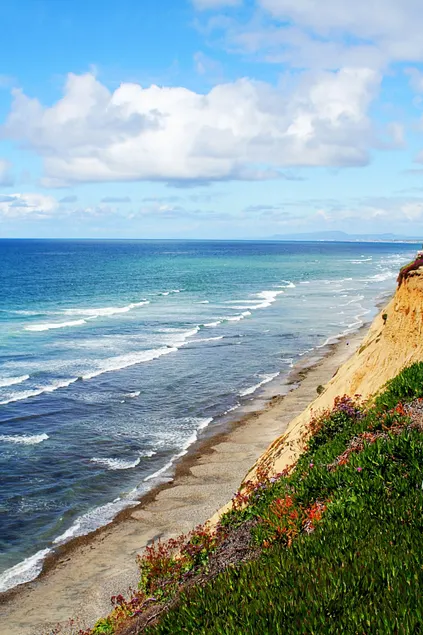 Dolphin Views ~ The Edge of the USA, 2-Bed, 1-Bath - Image 1