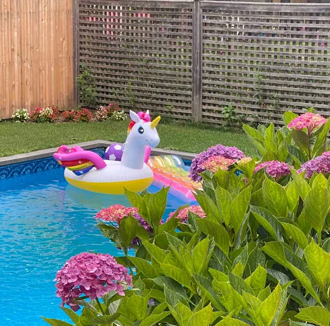 Swimming pool w/Hot tub Fire Pit Coffee Bar - Image 1