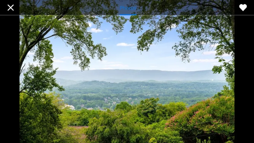 The VIEW, VIEW, and the VIEW! - Image 1