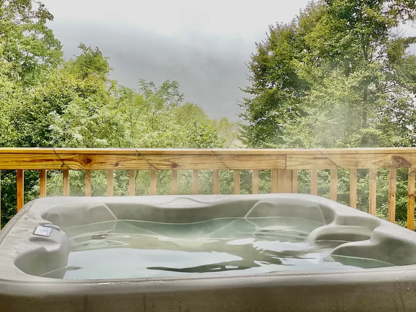 Secluded Mountain Top Cabin /hot tub+Wif - Image 1