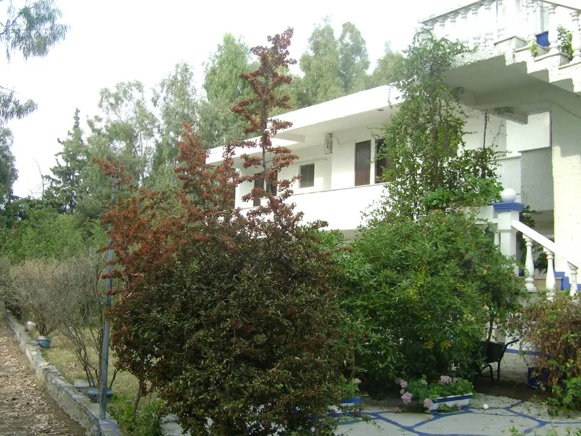 Nice apartment by the sea - Image 1