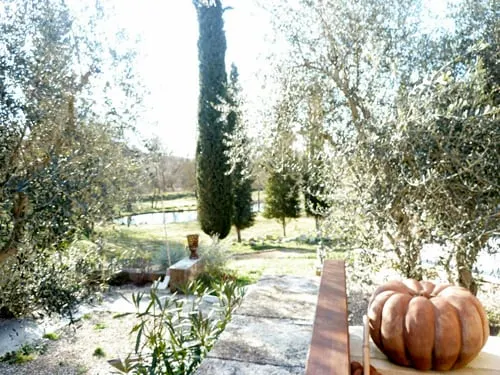 Charming cocoon for 4p in nature, space, infinity pool - Image 1