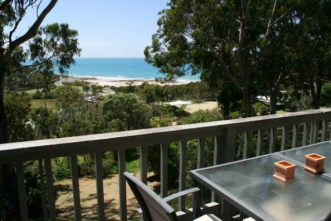 Sea Through the Trees - Image 1