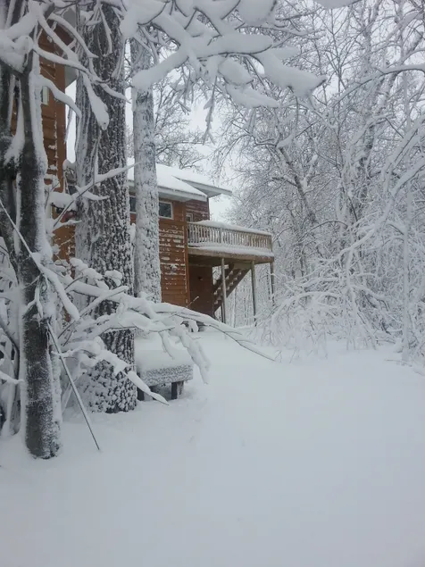 Tree House - Image 1