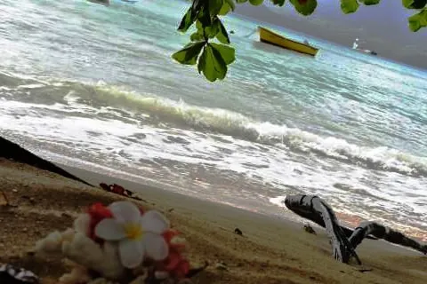 Zeph self catering - Image 1