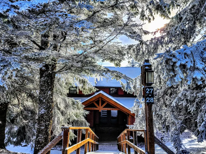 PET FRIENDLY 2br/2ba Tree Top -walk to ski/village - Image 1