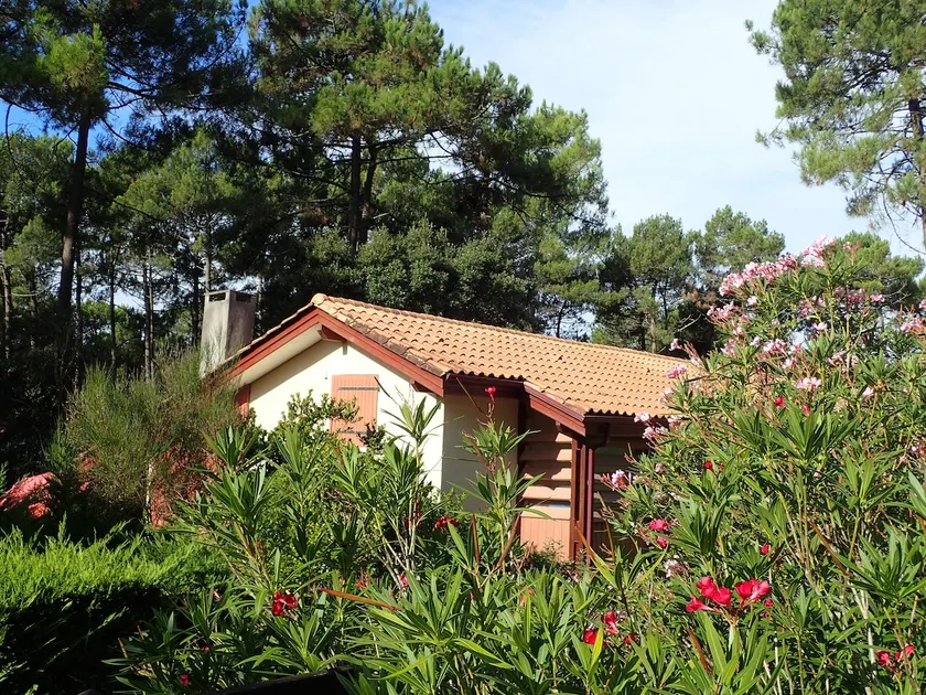 House in the heart of the pine forest of the golf course with pool - Image 1