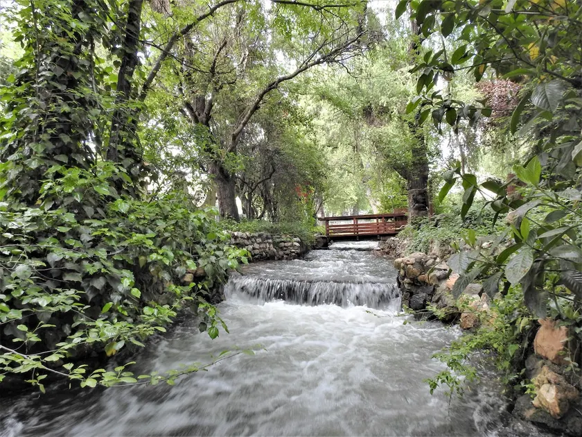 Fern Creek Cottage- peaceful creekside setting - Image 1