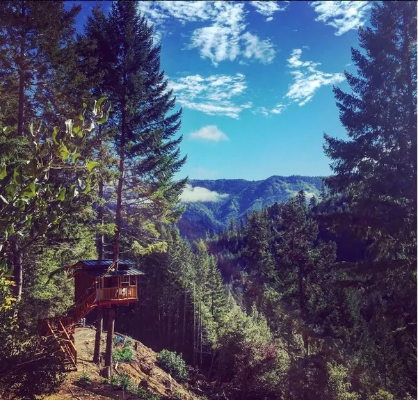 Rustic Remote Treehouse @Sustainable Ecovillage - Image 1