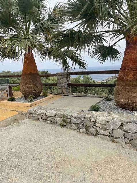 Souda’s nest - Image 1