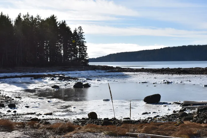 Driftwood Cottage - Image 1