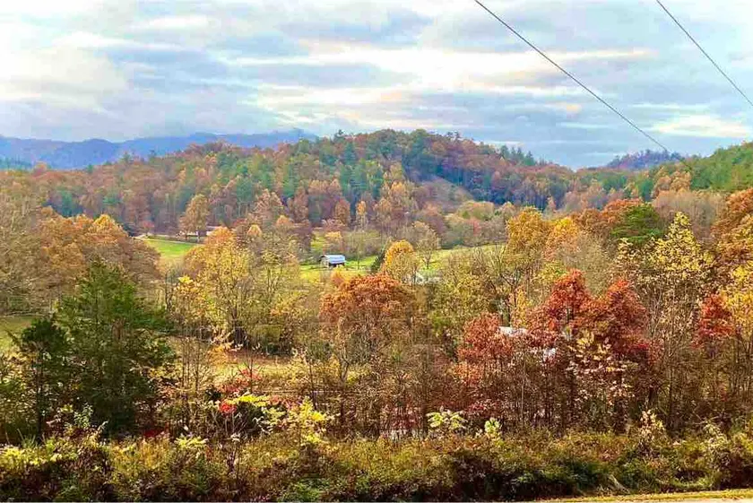 Be Still In The Hills - Image 1