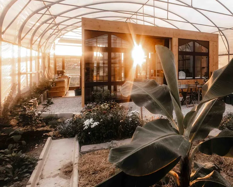 Sleeping in the greenhouse with great views 2 - Image 1