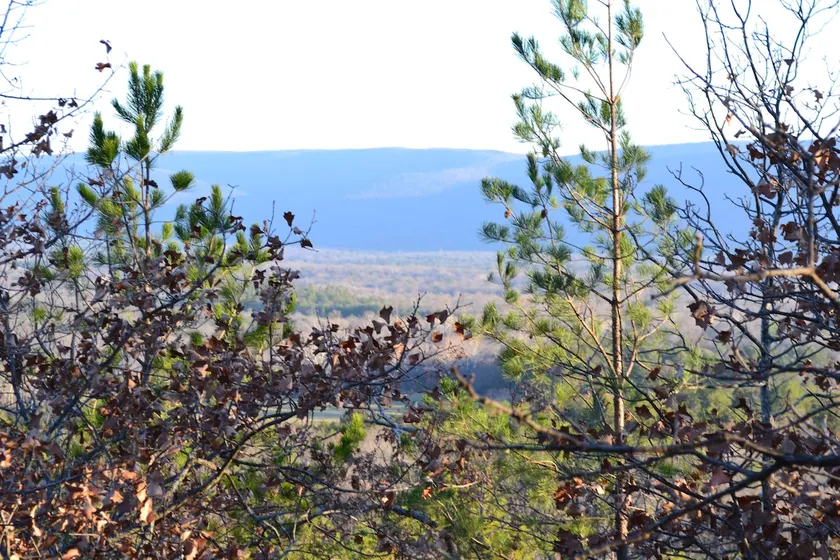 Little River Getaway! Quiet, Cozy, Secluded. - Image 1