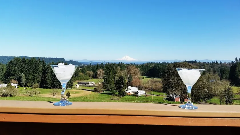 Sunday Quiet, awesome Hood view, hot tub! - Image 1