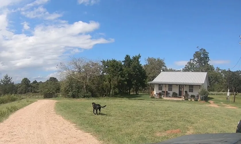 Friendship Acres: Farmhouse outside Bellville, TX - Image 1