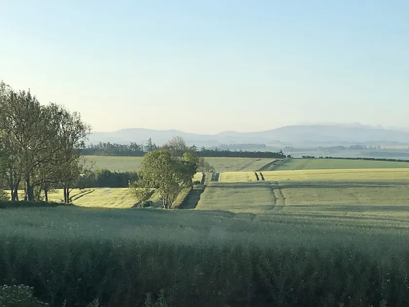 Bartlehill, dejligt kæledyrsvenligt sommerhus i de smukke skotske grænser - Image 1