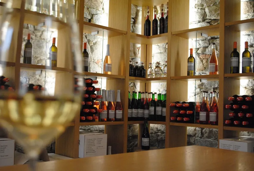 Vacation at the Winzerhof - Image 1