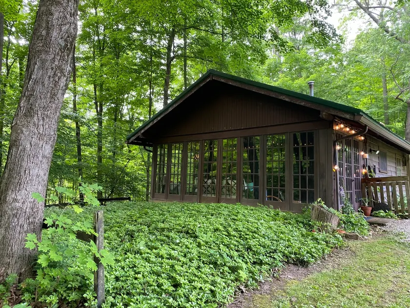 Quiet cottage nestled in the woods - Image 1