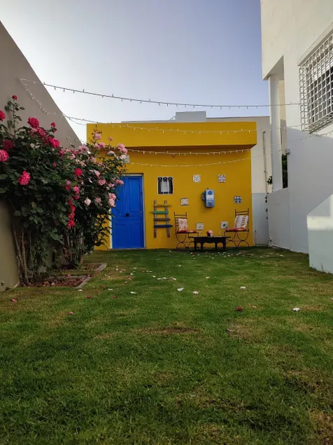 Allô Forest - Image 1